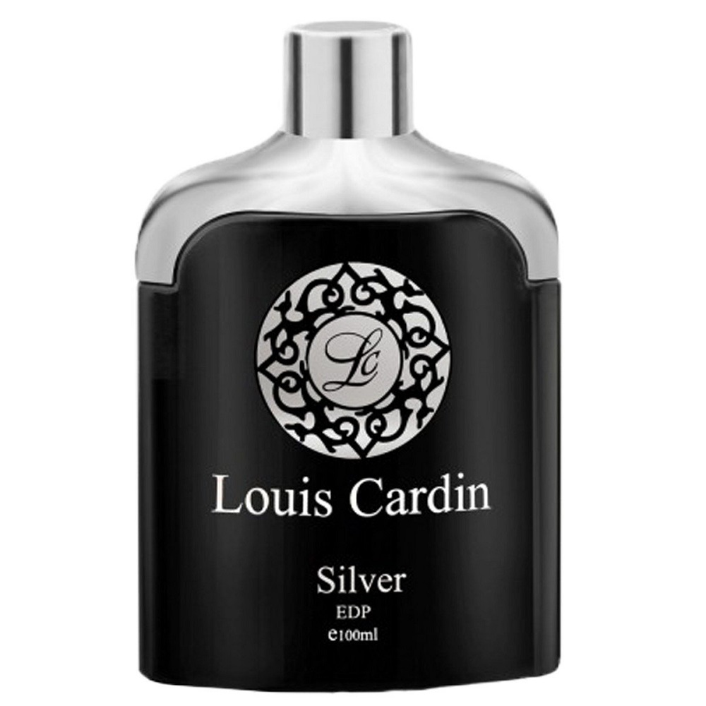 Silver Homme Parfumovaná Voda 100ml
